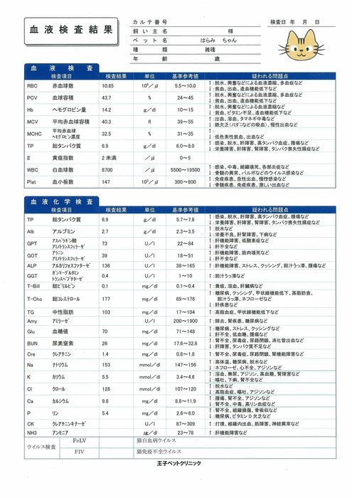 画像/2018年4月号「どうして必要? 結果の見方は? 血液検査がわかる!」