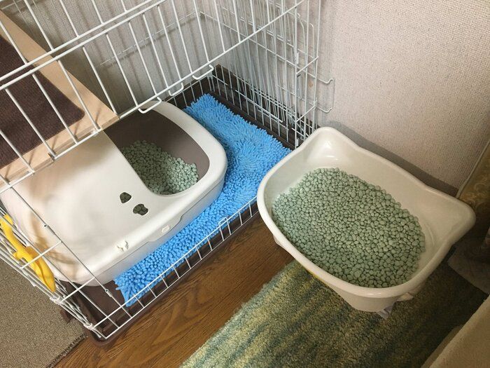 読者提供