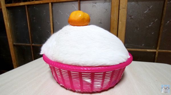 餅