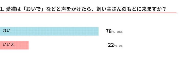 愛猫は「おいで」に反応する?