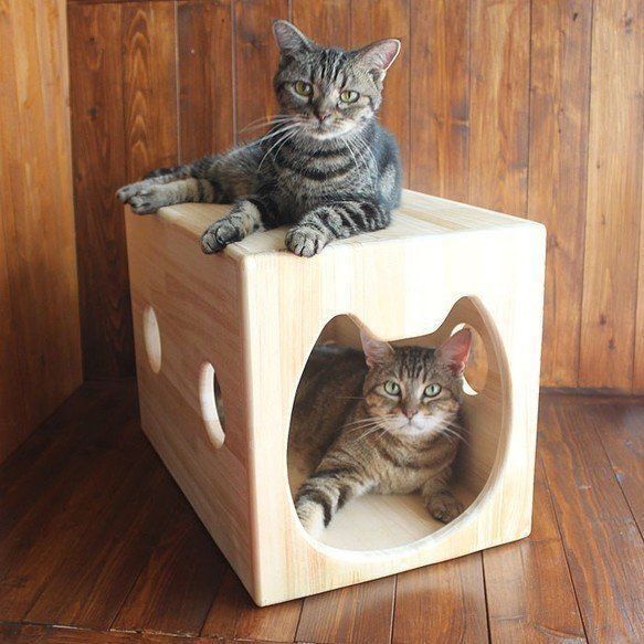 木製猫ハウス第3弾「猫ハウスフラット」