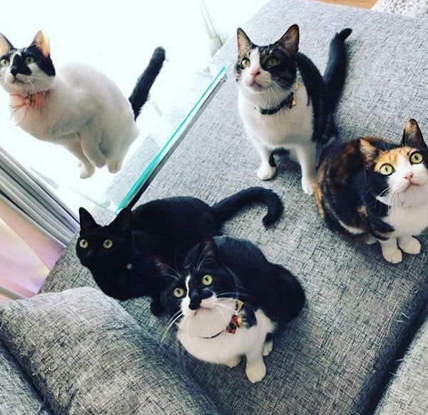 響介さんの公式Instagramより