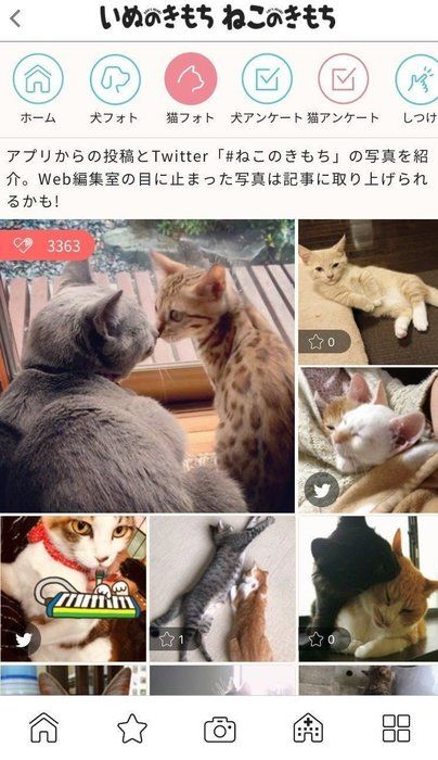 アプリ画面2