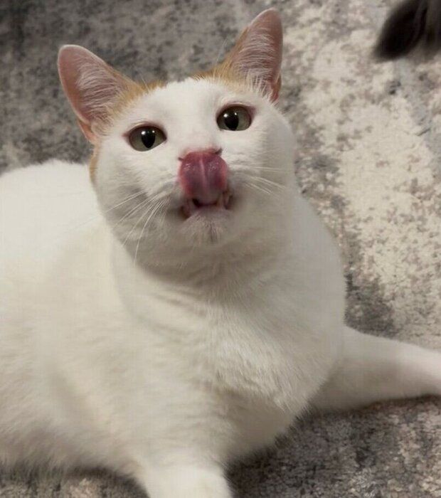 菅田くんの素顔