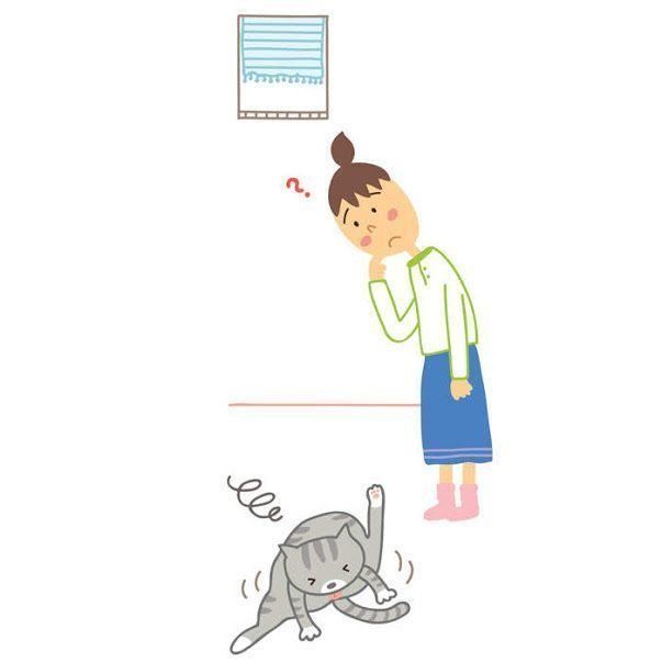 イラスト/松林今日子、西イズミ