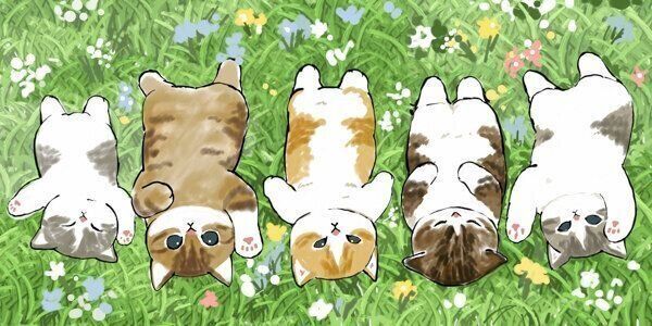 ぢゅのさんの猫イラスト