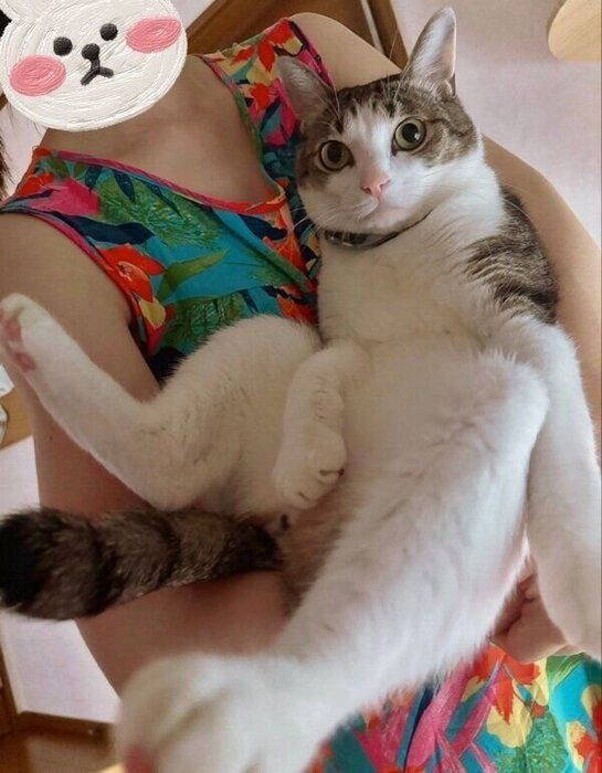 体も大きく成長した琥珀くん