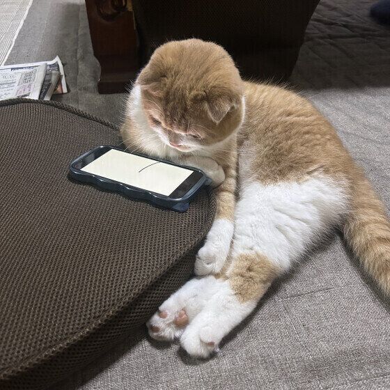 ミヌエットのうにくん