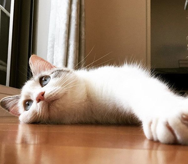 あおいちゃん