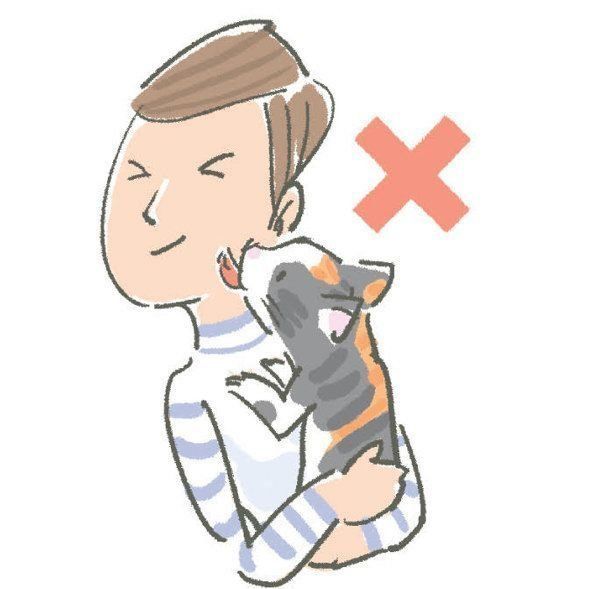 猫から直接うつりやすい病気