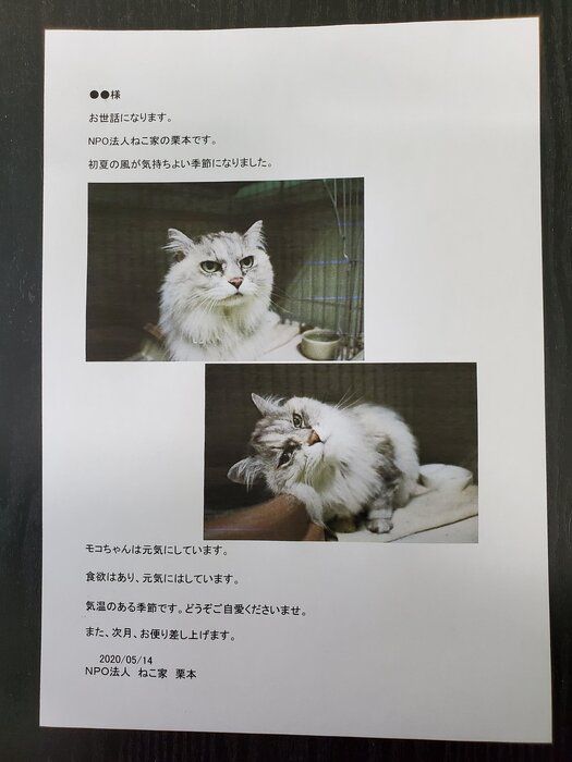 写真提供/ねこ家