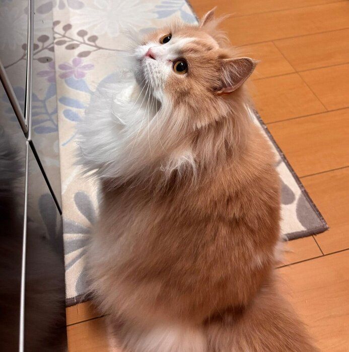 横顔も美しい和音ちゃん