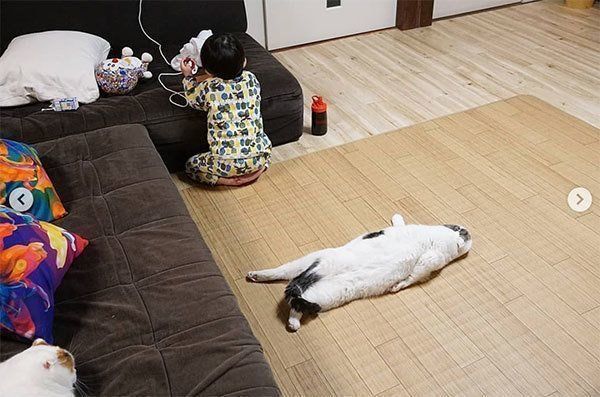 ぐでっとするライくん