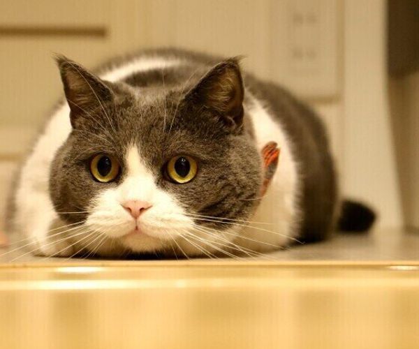 Okras7mwl63fum Okras7mwl63fum