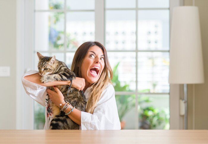抱っこする女性と猫