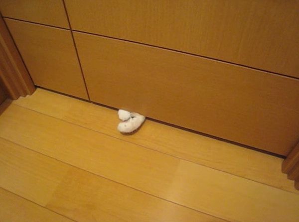 猫の肉球