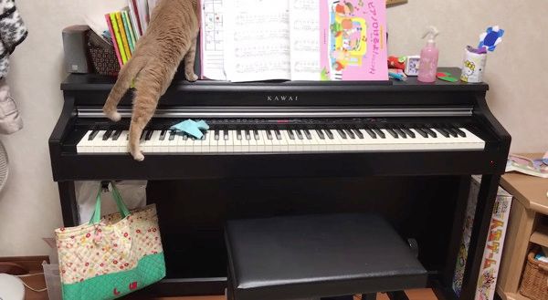 ピアノ