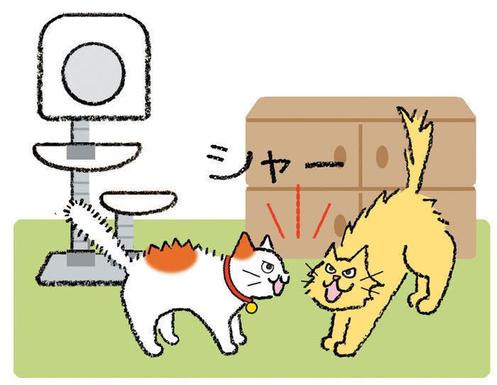 イラスト/内田尚子