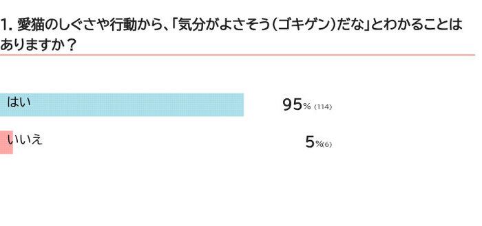 愛猫のゴキゲンサインはありますか?