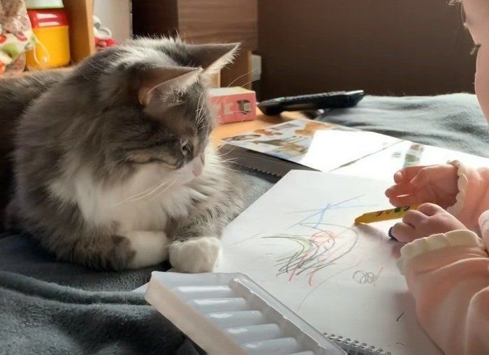 猫とお絵かき