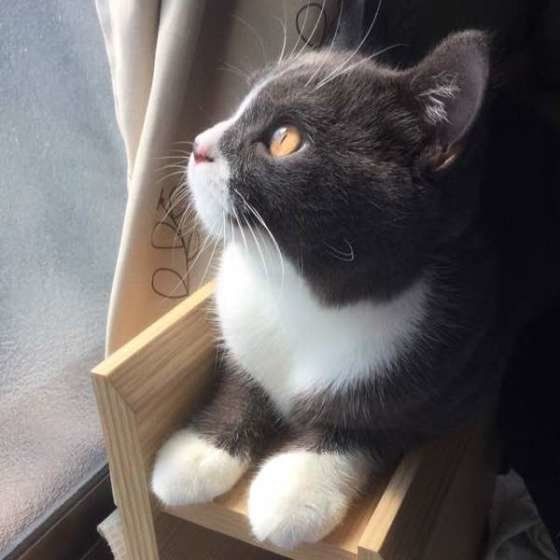 奇跡の一枚