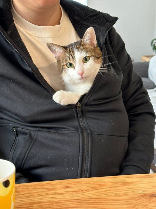 テンくんの甘えん坊な様子がわかる1枚