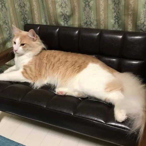 のんびり