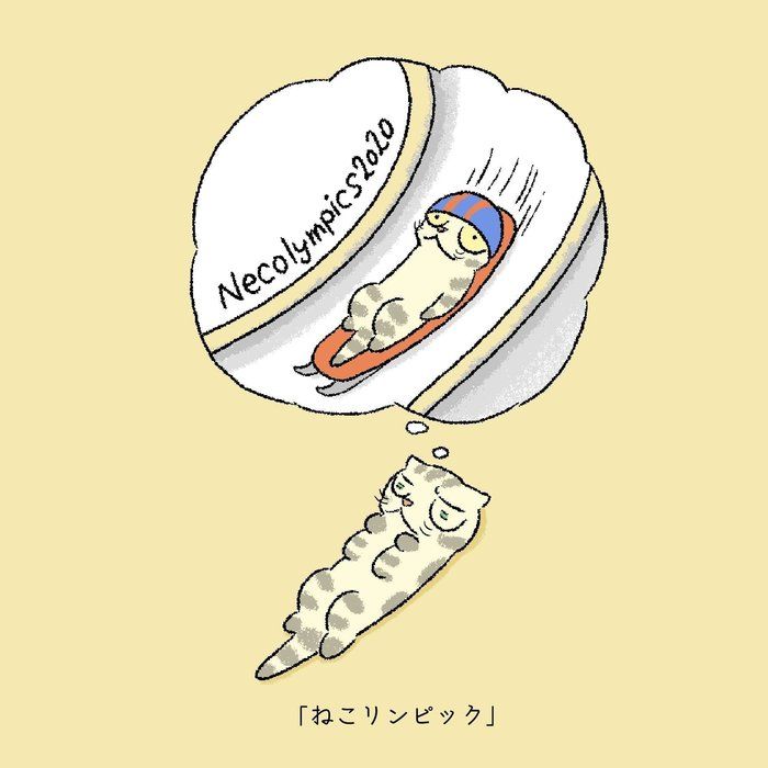 @tacos_cat