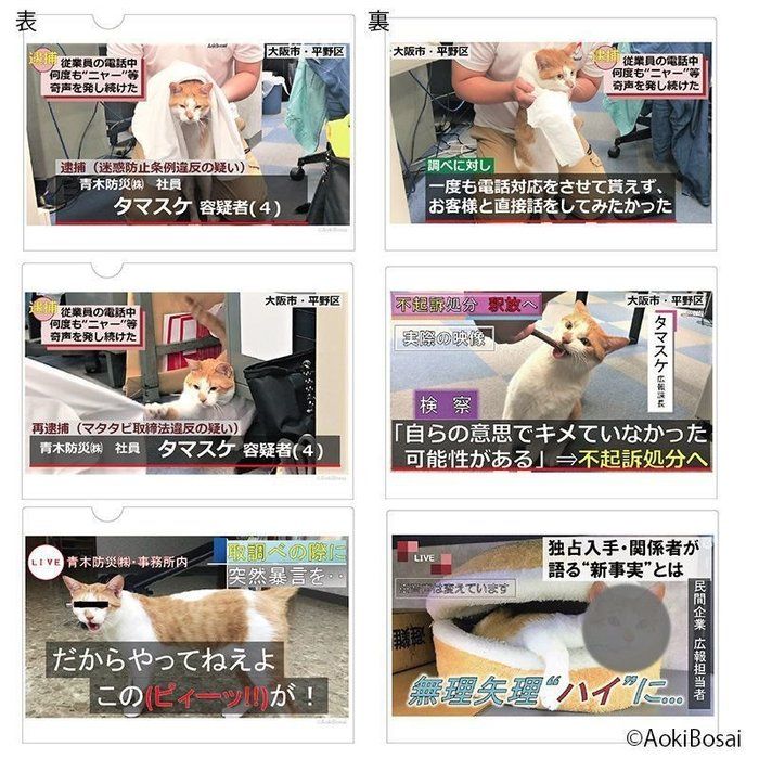 逮捕ネコクリアファイル