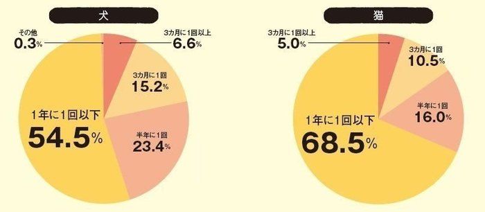 2018年3月号「イマドキ猫の健康事情」