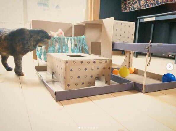 段ボール迷路
