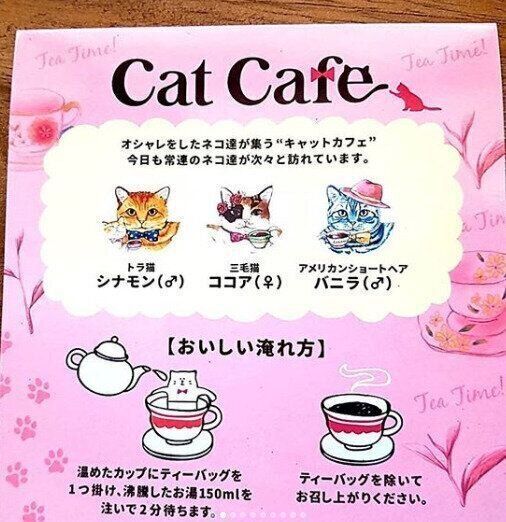 キャットカフェ3