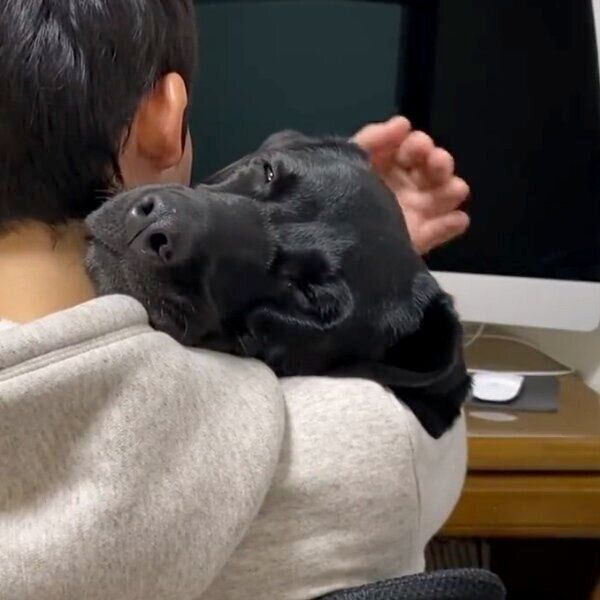 甘えるエマちゃん