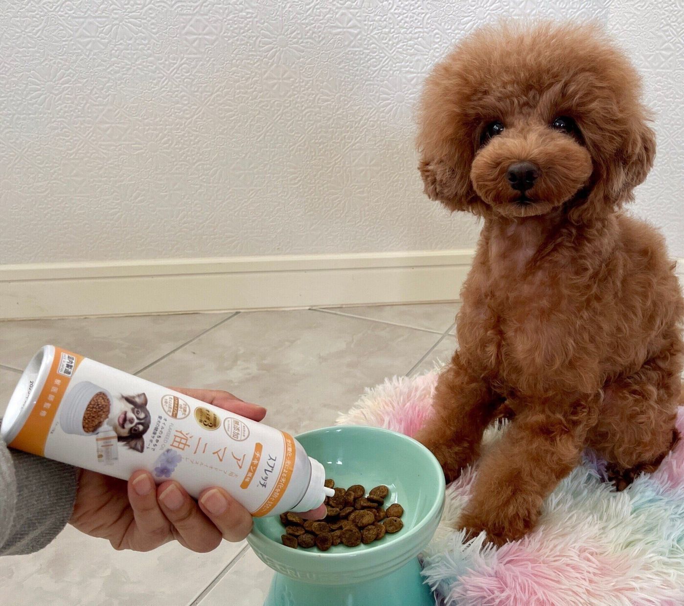 Pr 毎日1回フードにかけるだけで健康維持 うちのコにあげられる アマニ油 いぬのきもちweb Magazine Pr 毎日1回フードにかけるだけで健康維持 うちのコにあげられる アマニ油 いぬのきもちweb Magazine