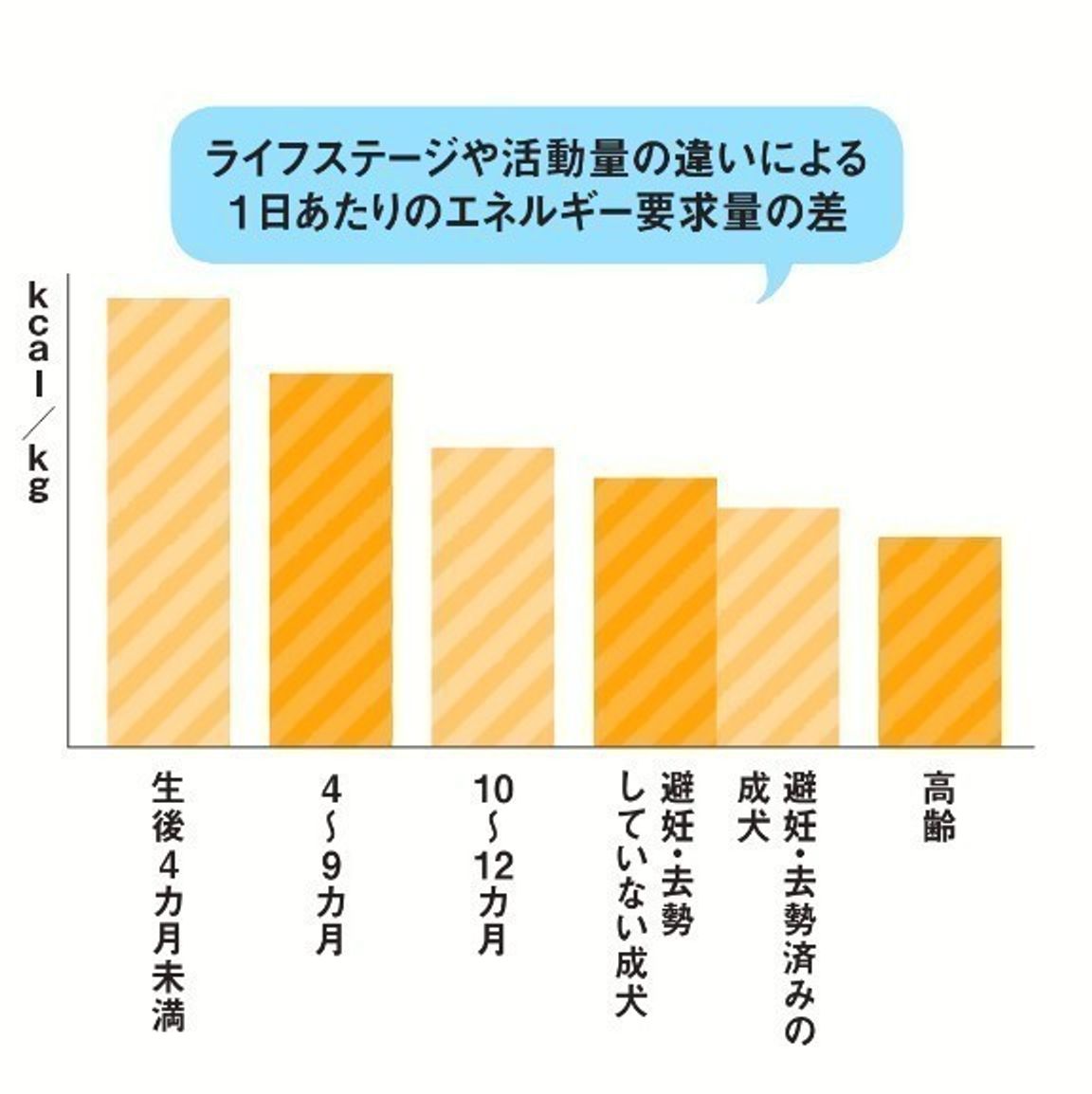 獣医師監修 犬の年齢は人間で何才 計算式や寿命 老化のサインなど いぬのきもちweb Magazine 獣医師監修 犬の年齢は人間で何才 計算式や寿命 老化のサインなど いぬのきもちweb Magazine