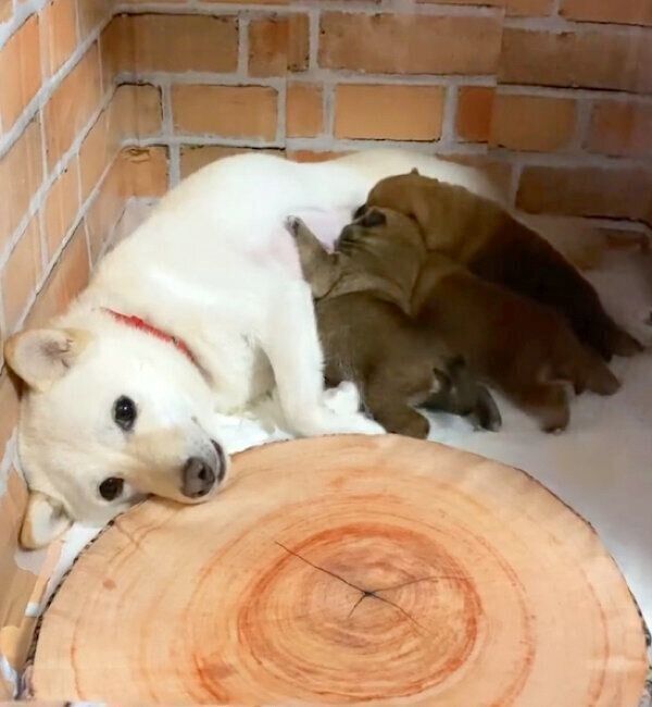 育児をするモチ代さん