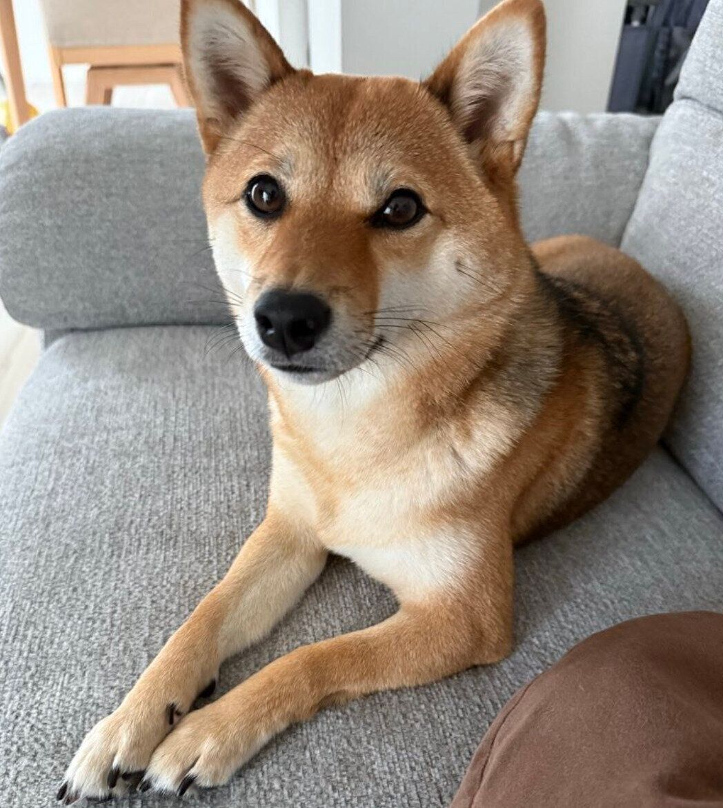 1才最後の日の蘭ちゃん