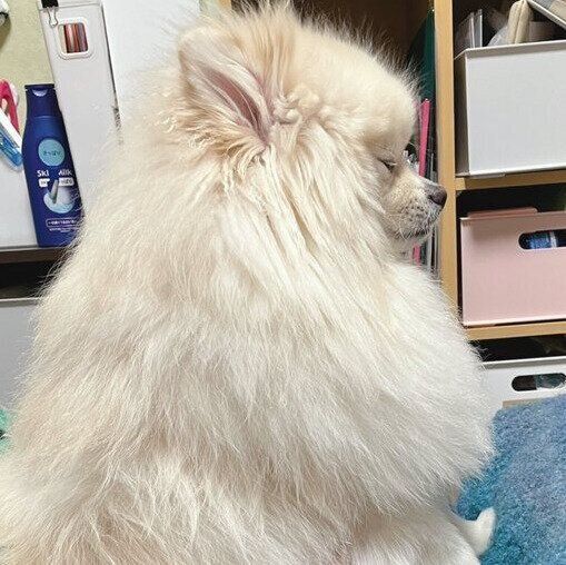抱っこされるちくわくん