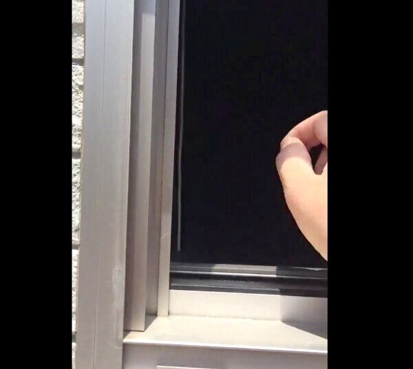 窓をノックする飼い主さん