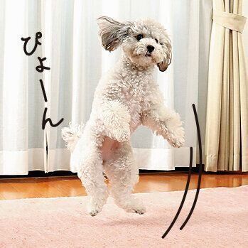 撮影／尾﨑たまき