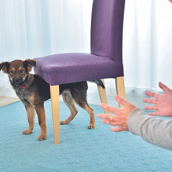 撮影／佐藤正之