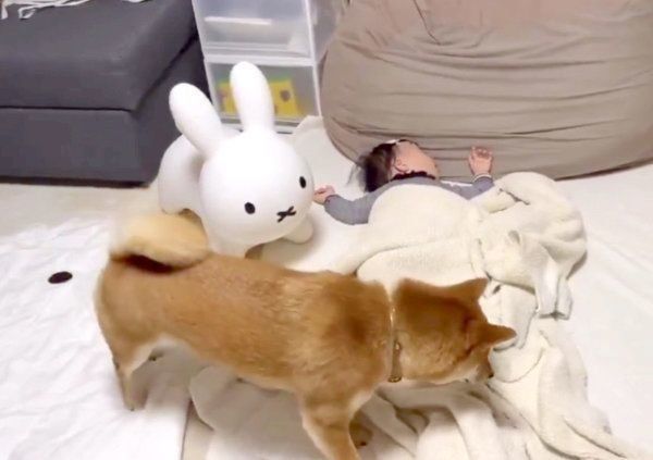 妹ちゃんの足元に来たりんご郎くん