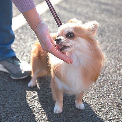 撮影／尾﨑たまき