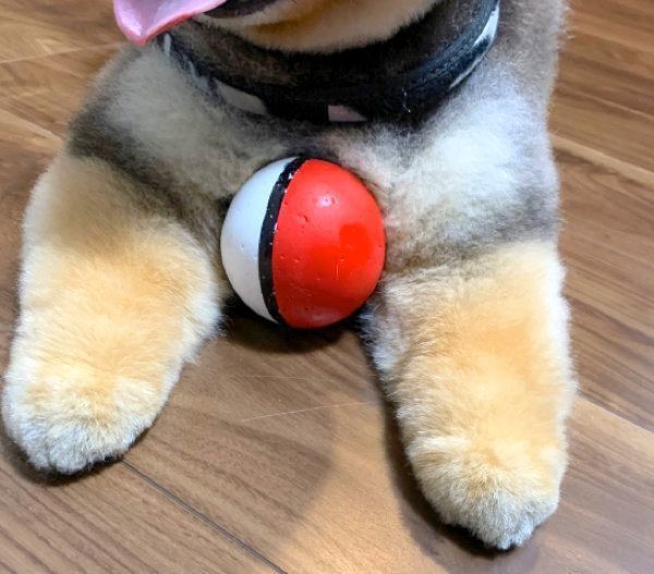 揚げパンのようなたろ吉ちゃんのお手て