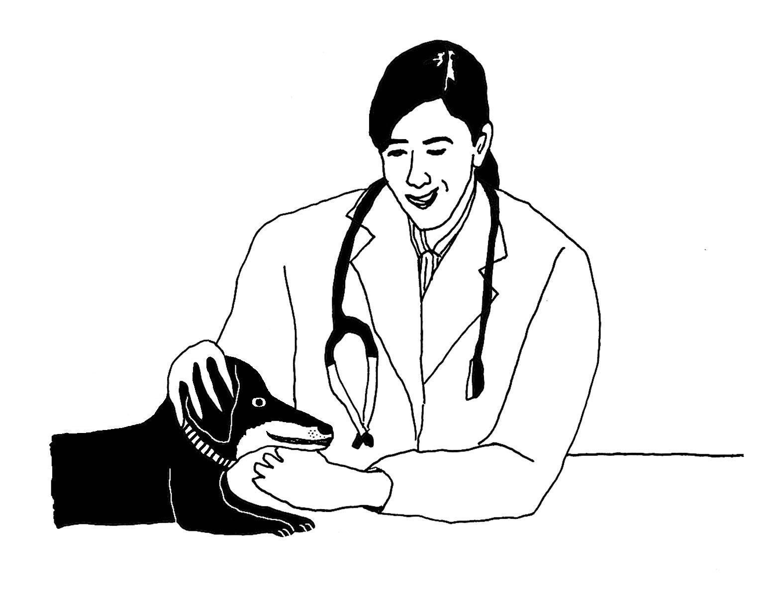 イラスト／sho miyata