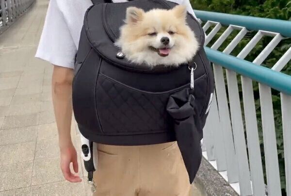 病院の帰り道に余裕の表情を見せるちくわくん