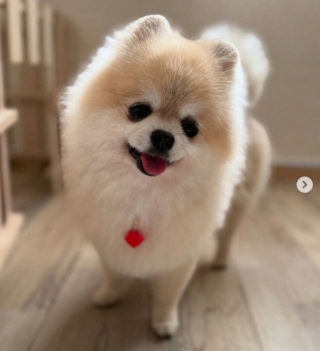ニコッとするみくちゃん