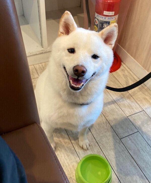 笑顔が可愛いゆきみちゃん