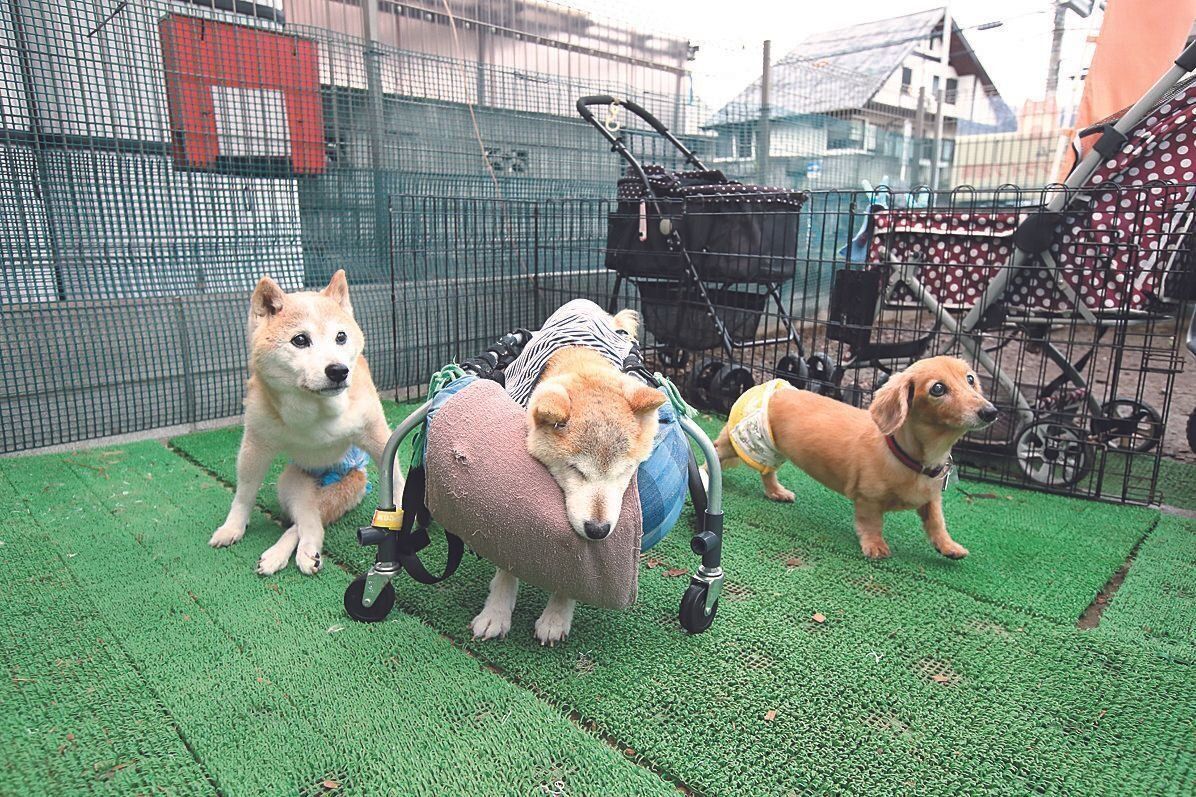 撮影／尾﨑たまき