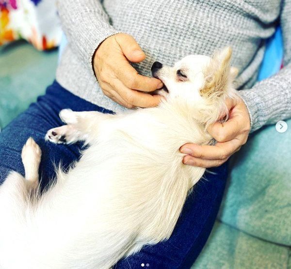 寝落ちした風汰ちゃん